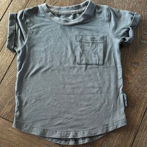 Kids little bipsy Gray T-Shirt